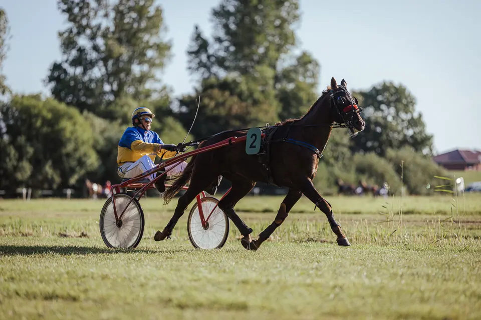 Hooksieler Renntage 2024 - Foto 15