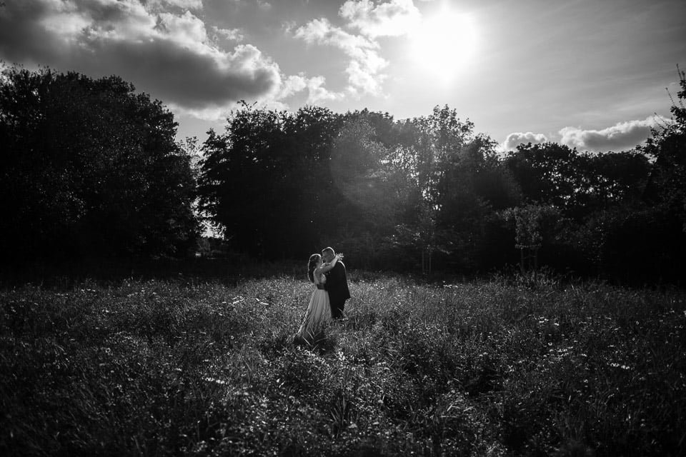 Wildblumen, Wilhelmshaven – Foto 5