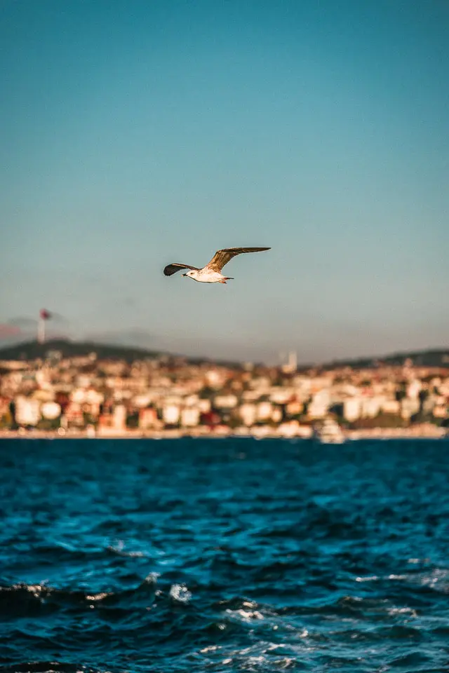 Istanbul Canon - Foto 38